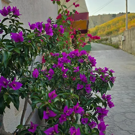 Eldo Apartament Durrës