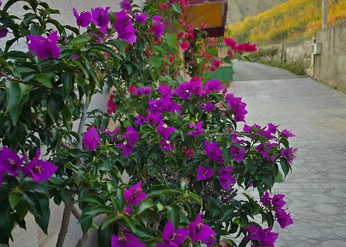 Eldo Apartmán Durrës